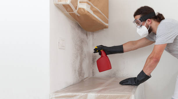 Professional Crawl Space Mold Remediation technician working in Liverpool, PA