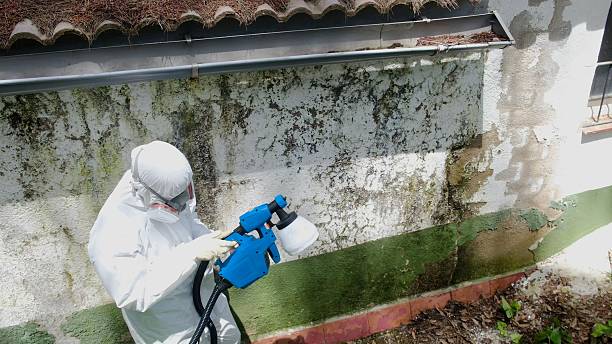 Top rated local Crawl Space Mold Remediation specialists in Liverpool, PA